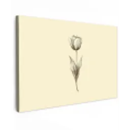 Illustratie - Tulp - Zwart Tuinposter op houten frame 2 cm dik klein -3d