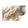 Hazestaartgras - Wit - Zonlicht Muursticker klein -3d