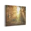 Bos - Herfst - Zon - Landschap - Natuur - Bomen - Bladeren PET vilt klein -3d