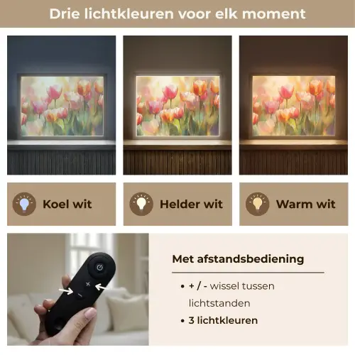 Tulpen - Sprookjesachtig - Kleurrijk Light Box met batterij (Wandlamp) middel -USP_lichtkleurNL