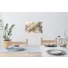 Hazestaartgras - Wit - Zonlicht Muursticker klein -eettafel