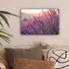 Lavendel - Paars - Zonlicht canvas 2cm klein -sfeer1
