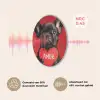 Amor - Hond  - Hartje - Rood Akoestische PET Vilt - Rond klein -USP_NL