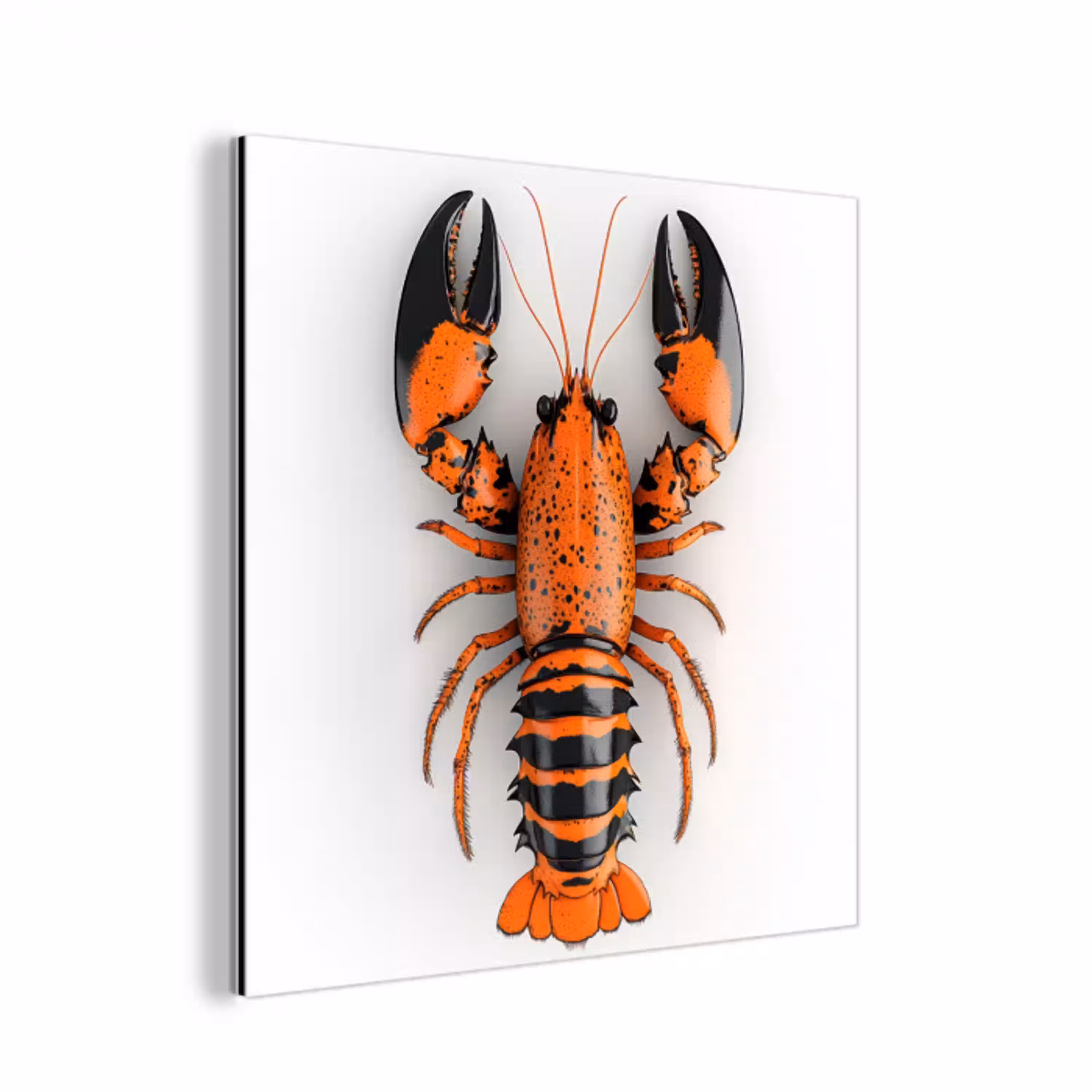 Kreeft - Zwart - Oranje - Wit - Uniek aluminium wit klein -3d