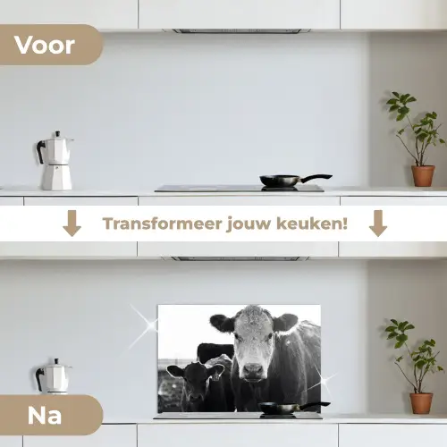Koeien - Zwart - Wit keuken achterwand spatscherm klein -voor_na_NL
