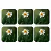 Narcis - Bloem - Wit - Grassprieten onderzetter kurk middel -3d