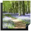 Bos - Pad - Bloemen - Paars - Groen - Natuur Inductie beschermer vinyl 3mm middel -3d