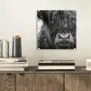 Schotse hooglander - Zwart - Wit - Sneeuwvlokken plexiglas 5mm klein -sfeer1