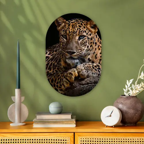 Wilde dieren - Panter - Portret - Zwart - Dieren Wandcirkel Ovaal Forex klein -sfeer2