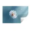 Paardenbloem - Wind - Blauw Muursticker klein -3d
