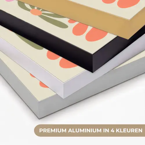 Bloemvormen - Retro - Kleurrijk Textielframe zwart klein -USP_kleurenNL