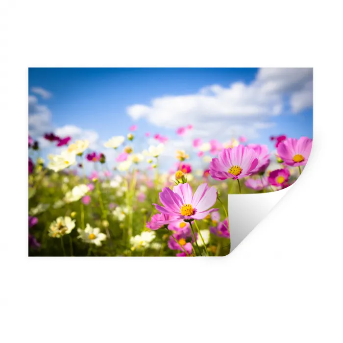Bloemen - Wei - Paars - Gras - Wit - Wolken - Blauw Muursticker klein -3d