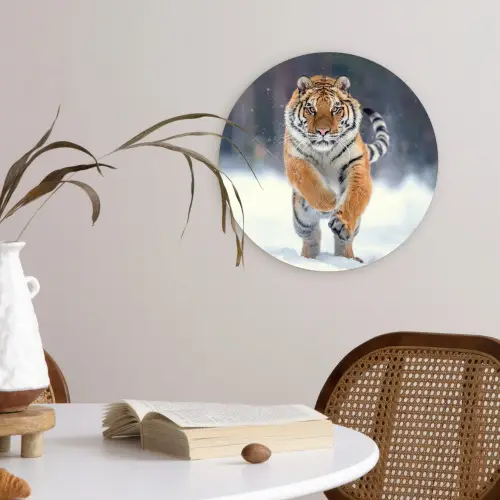Tijger - Landschap - Sneeuw - Winter - Dieren Wandcirkel kunststof plaat 5mm dik klein -sfeer4