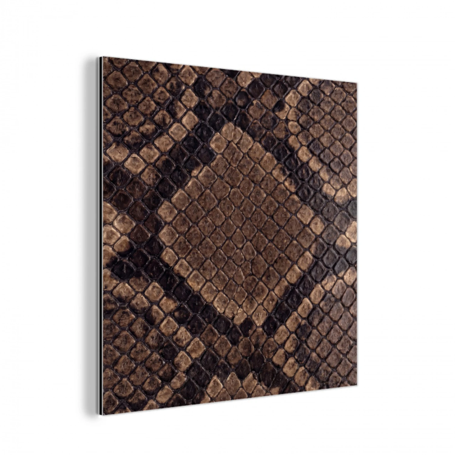 Python - Schubben - Brons aluminium wit klein -3d