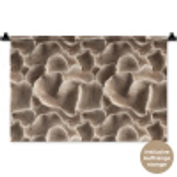Waaiervorm - Beige - Vezel textuur Wandkleed katoen klein 269 -t3d_DE