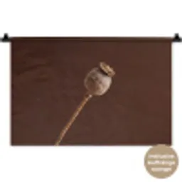 Papaverbol - Droogbloem - Bruin - Minimalistisch Wandkleed katoen klein -t3d_DE