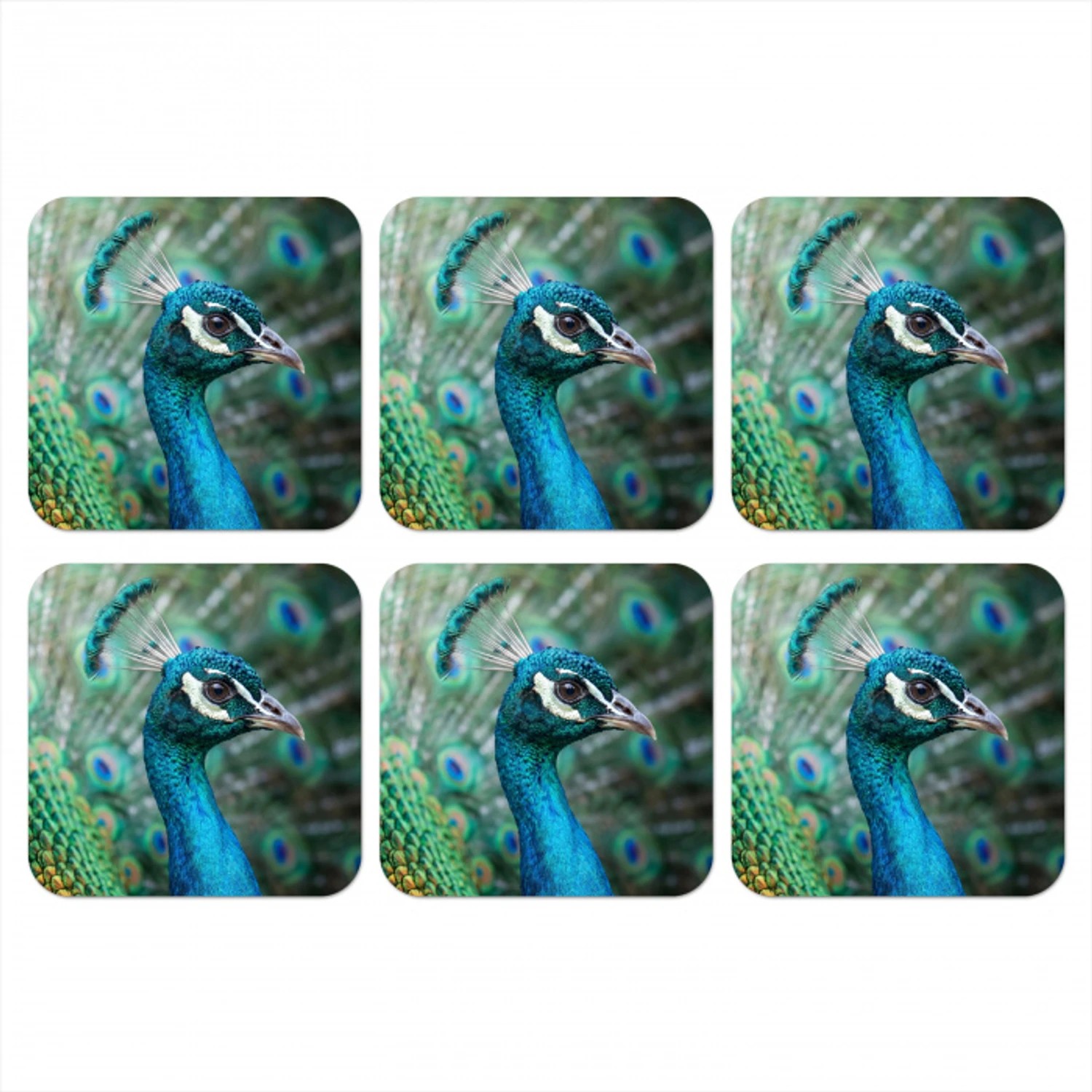 Pauw - Veren - Blauw onderzetter kurk middel -3d