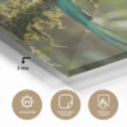 Quetzal - Jungle - Natuur - Groen plexiglas 5mm klein -wsfeer2_DE