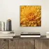 Geel - Chrysant - Zachtheid aluminium wit klein -sfeer1