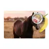 Paard - Zonsondergang - Bruin Placemat vinyl groot -zzzproduct_Kitchenyeah-website