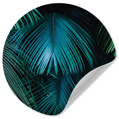 Inductie beschermer - Inductie afdekplaat - Tropical - Jungle - Bladeren - Groen Wandcirkel behangsticker klein -3d