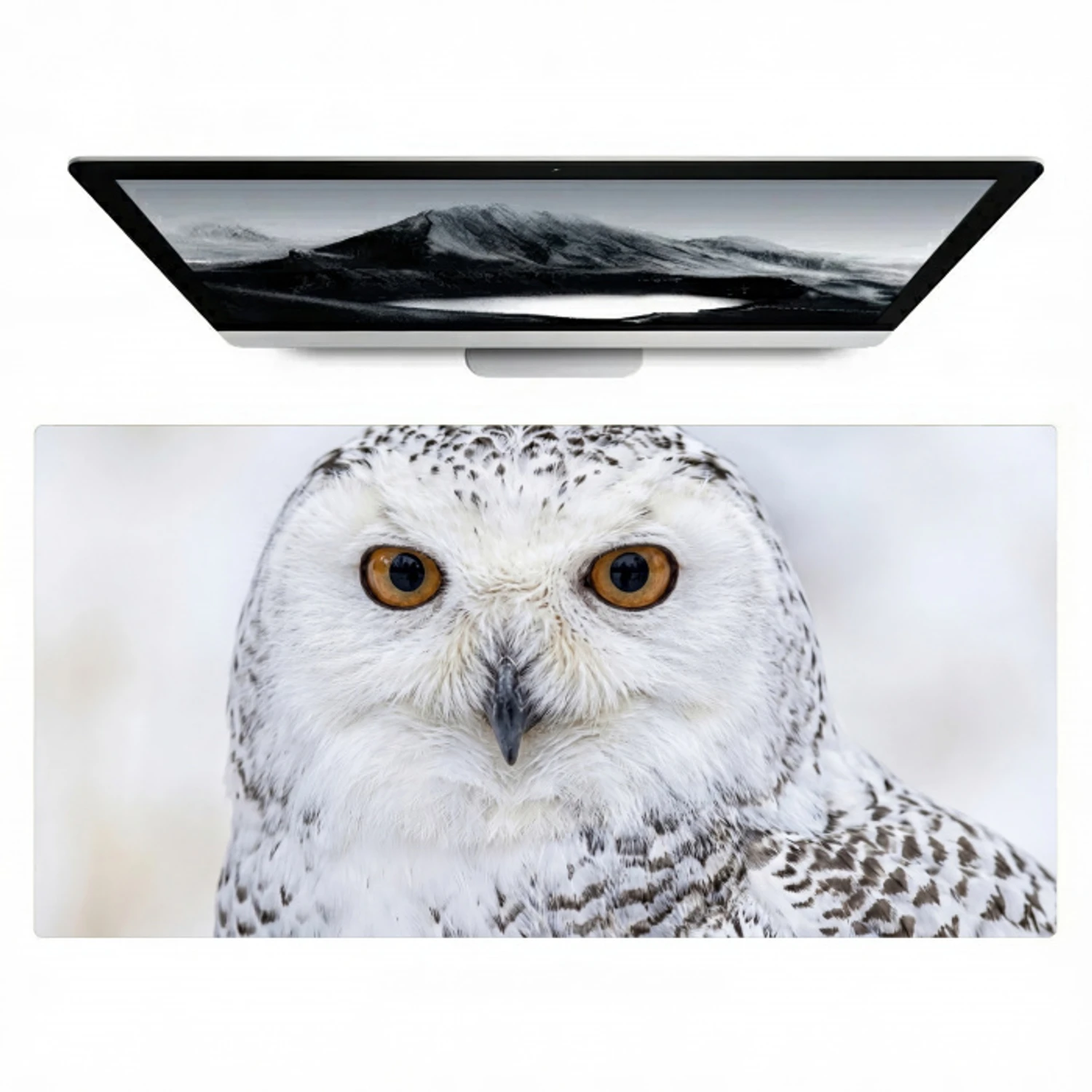Sneeuwuil - Oog - Wildlife - Wit Muismat XXL klein -zzz3d