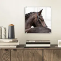 Portret - Paard - Elegant plexiglas 5mm klein -sfeer1
