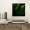 Bladeren - Schaduw - Groen - Textuur aluminium wit klein -sfeer1