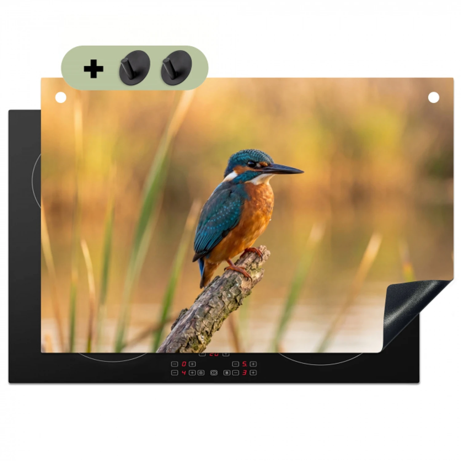 IJsvogel - Tak - Water - Kleurrijk - Levendig Inductie beschemer met haakjes klein -3d