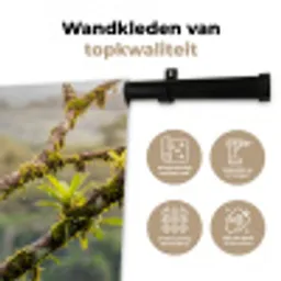 Toekan - Jungle - Natuur - Kleurrijk Wandkleed katoen klein -sfeer2