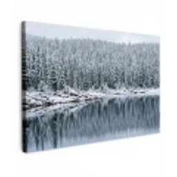 Bos - Reflectie - Meer - Winter - Serene canvas 2cm klein -z3d