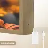 Vlinder - Dier - Kleurrijk - Bloemen - Natuur Light Box met batterij (Wandlamp) middel -USP_websiteoplaadbaarNL