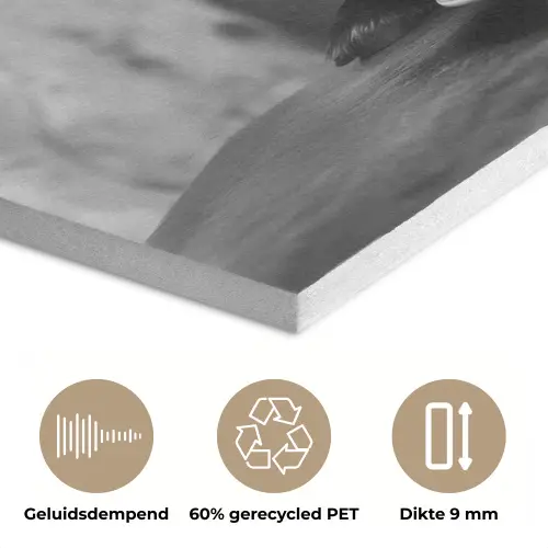 Geit - Bord - Spaghetti - Zwart Wit PET vilt klein -closeup_NL