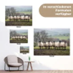 Schapen - Rij - Weide - Dieren - Platteland tuinposter los doek klein -Xsfeer9_DE