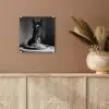 Paard - Bord - Pasta - Tafelkleed - Zwart Wit - Dieren plexiglas 5mm klein -sfeer5