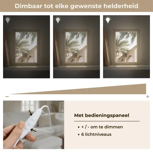 Gebouw - Palmbomen - Beige - Zon Light Box met kabel (Tafellamp) klein -USP_dimbaarNL