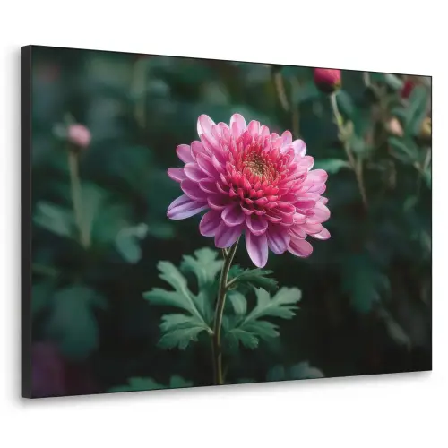 Blad - Chrysant - Roze - Schaduw Textielframe zwart klein -3d