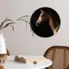 Paard - Dieren - Nacht - Zwart Wandcirkel kunststof plaat 5mm dik klein -sfeer4