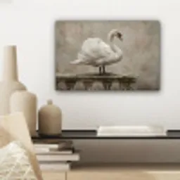 Zwaan - Elegant - Dieren - Wit canvas 2cm klein -sfeer6