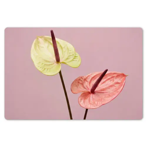 Bloemen - Anthuriums - Geel - Roze Placemat vinyl groot -zzsfeer1_Kitchenyeah-website