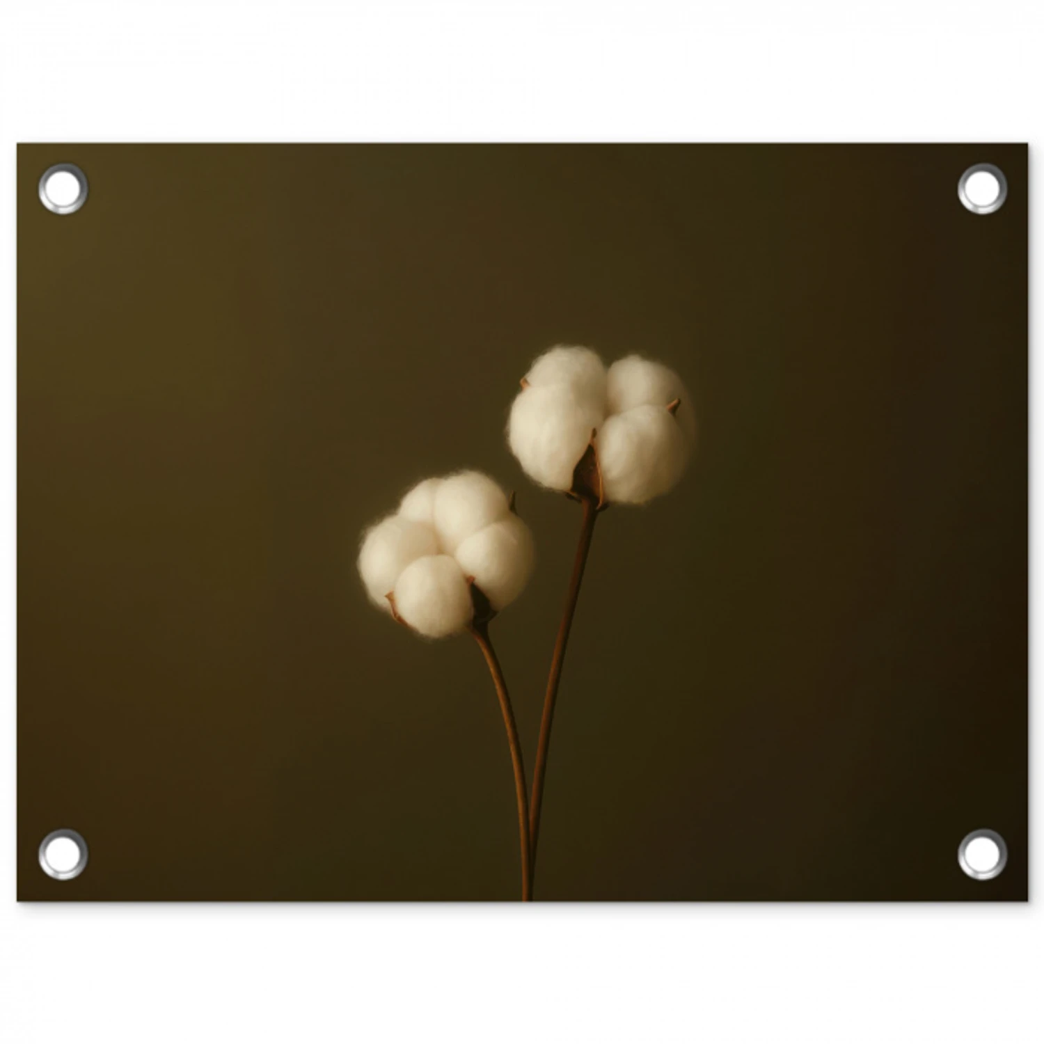 Takken - Katoen - Wit - Bollen tuinposter los doek klein -3d