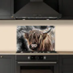 Schotse hooglander - Verf - Koe keuken achterwand spatscherm klein -sfeer1