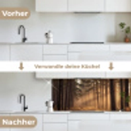 Bos - Mist - Zonlicht keuken achterwand 2 middel -voor-na_DE