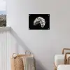 Croissant - Metaal - Zilver tuinposter los doek klein -sfeer8