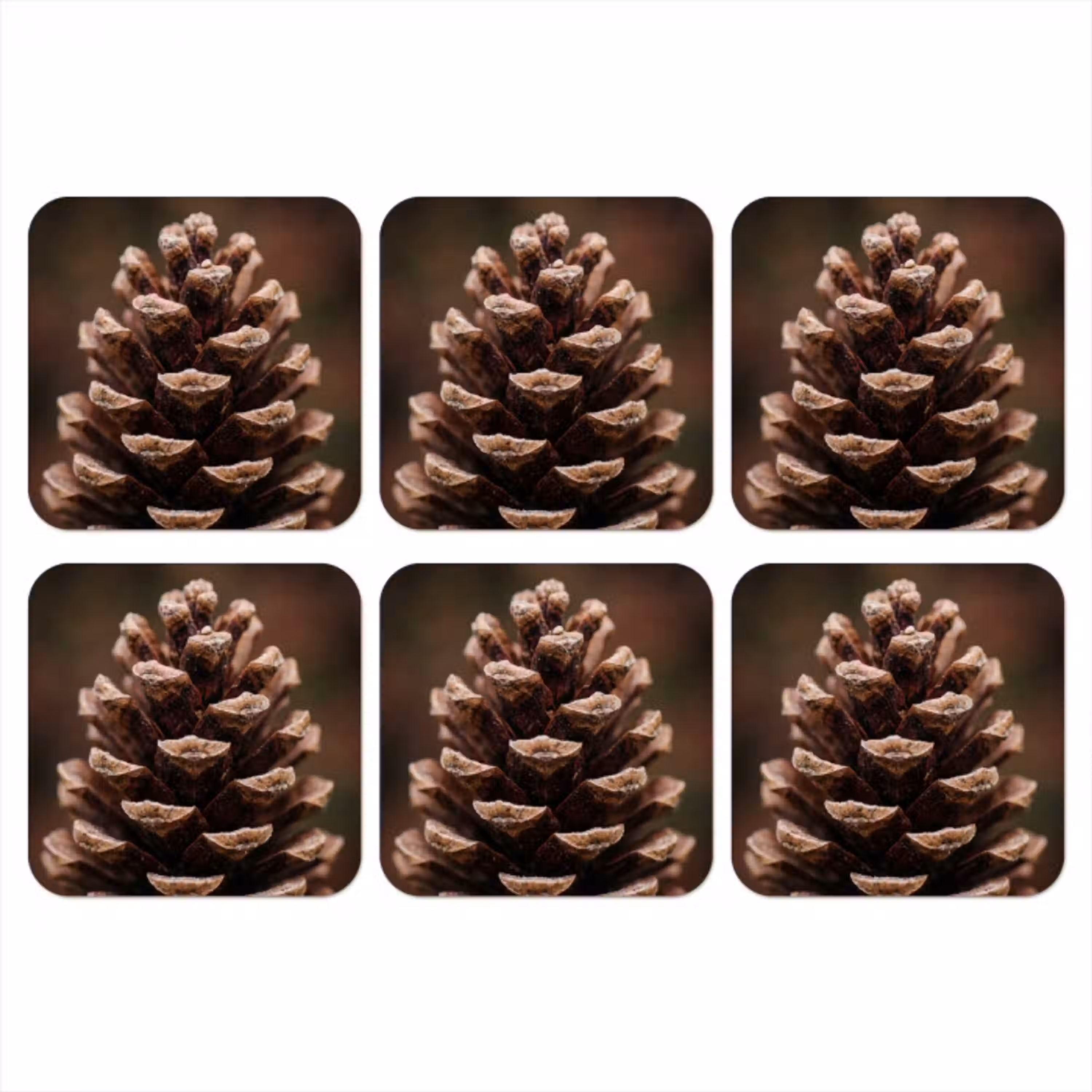 Dennenappel - Bos - Herfst - Bruin - Sfeervol onderzetter kurk middel -3d