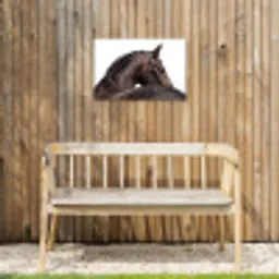 Portret - Paard - Elegant Tuinposter op houten frame 2 cm dik klein -sfeer4