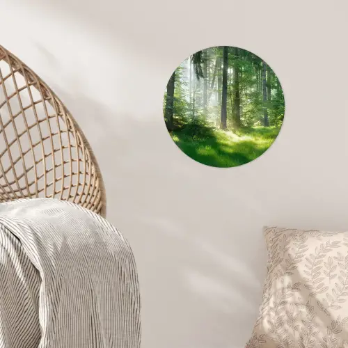 Natuur - Bomen - Bos - Groen - Zon - Gras - Planten Wandcirkel behangsticker klein -sfeer4