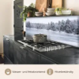 Meer - Dennen - IJs - Winter - Rustgevend keuken achterwand 2 middel -usp_DE