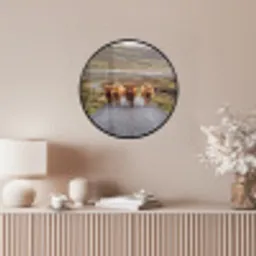 Schotse Hooglanders - Weg - Landschap - Kudde Fotolijst rond zonder passe partout klein -sfeer3
