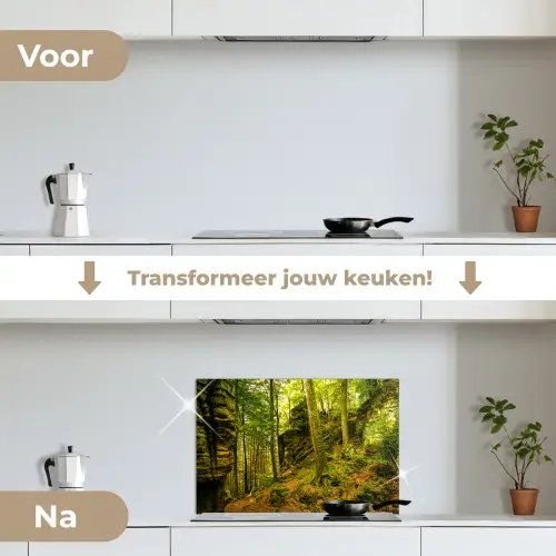 Bomen - Steen - Bos - Natuur - Planten keuken achterwand spatscherm klein -voor_na_NL